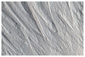 Gullies and Layers in Tantalus Fossae