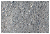Arcadia Planitia Sample