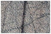 Vastitas Borealis Terrain Sample