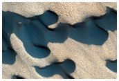 Dunes Dubbed Kolhar