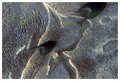 North Polar Spring Defrost Monitor Site