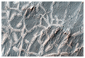 Many Small Interesting Ridges in Erythraea Fossa