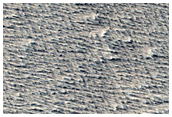 Candidate New Impact Site