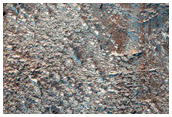 Hellas Planitia