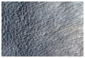 Possible Gullies in Northern Mid-Latitude Crater in Phlegra Montes