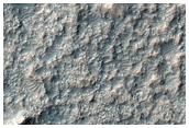 Flow Features Leaving Palos Crater