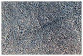 Northern Plains Sample