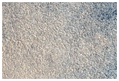 Northern Plains Sample