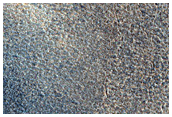 Northern Plains Sample