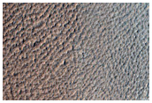 Possible Gullies