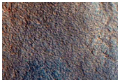 Vivero Crater Interior