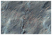 Possible Future Landing Site in Holden Crater