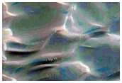 Dunes Dubbed Buzzel