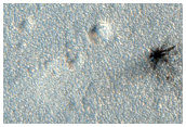 New High-Latitude Impact
