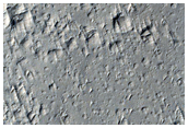 Candidate New Impact Site