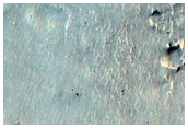 Northern Lowlands