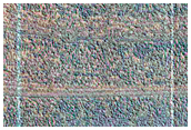 Exposure of North Polar Layered Deposits