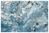 Active Dune Monitoring in Meridiani Planum