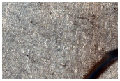North Polar Dunes