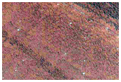 North Polar Layered Deposit Exposure