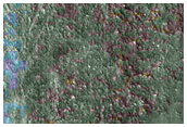 Sample Terrain