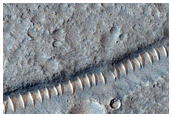 Tempe Terra