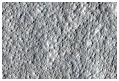 Terrain Sample