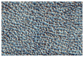 Northern Plains Sample