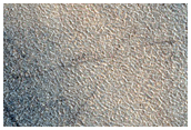 Northern Plains Sample