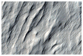 Lava Channels on Olympus Mons