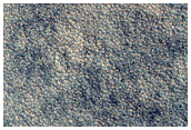 Northern Plains Sample