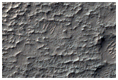 Rock Outcrop