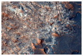 Intersection of Dark-Capped Ridges and Dark-Capped Plain