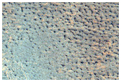 Northern Plains Sample