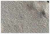 Northern Plains Sample