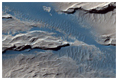 Dark Sediments in the Medusae Fossae Formation