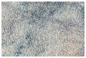 Northern Plains Sample