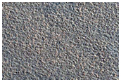 Northern Plains Sample