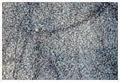 Northern Plains Sample