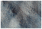 Northern Plains Sample