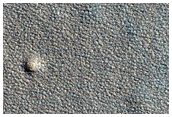 Northern Plains Sample