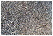Northern Plains Sample
