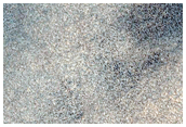 Northern Plains Sample