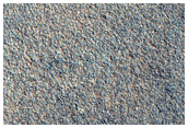 Northern Plains Sample