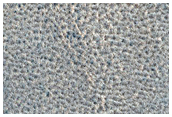 Northern Plains Sample