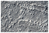 Fine-Scale Tributaries