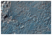 Textured and Light-Toned Rock Surfaces