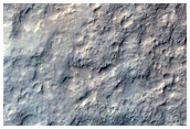 MSL Rover Future Traverse