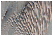 Gully Monitoring