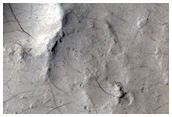 Crater with Fans and Sinuous Ridges Near Distal Marte Vallis